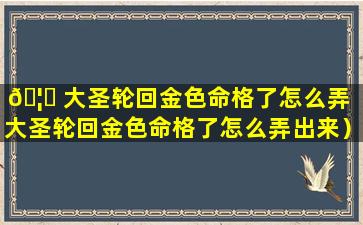 🦟 大圣轮回金色命格了怎么弄（大圣轮回金色命格了怎么弄出来）